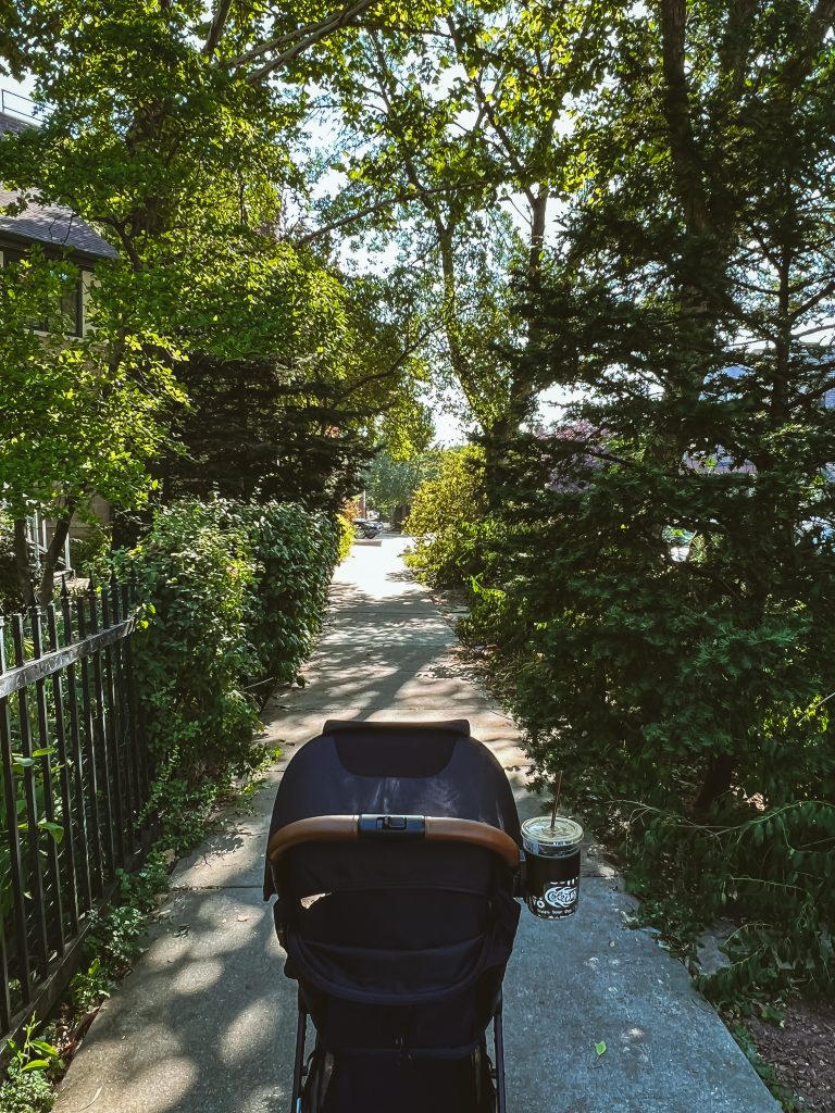 long walks through the neighborhood We took lots of long walks through the neighborhood