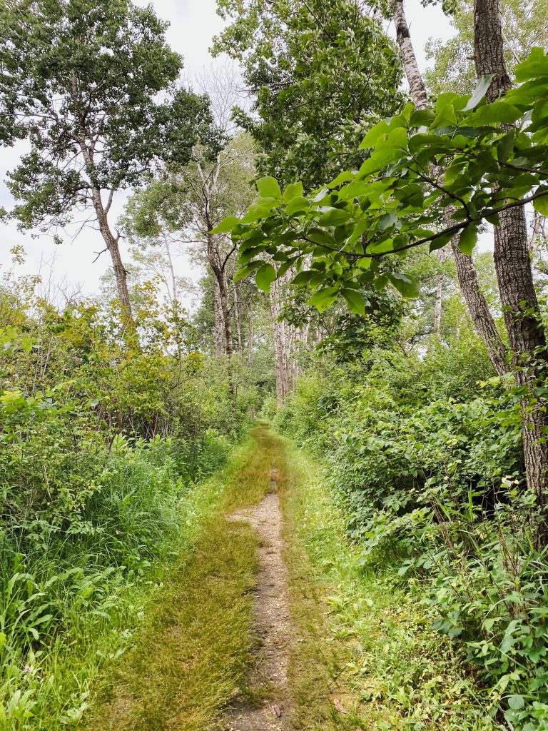 Scuppernong springs nature trail Scuppernong springs nature trail