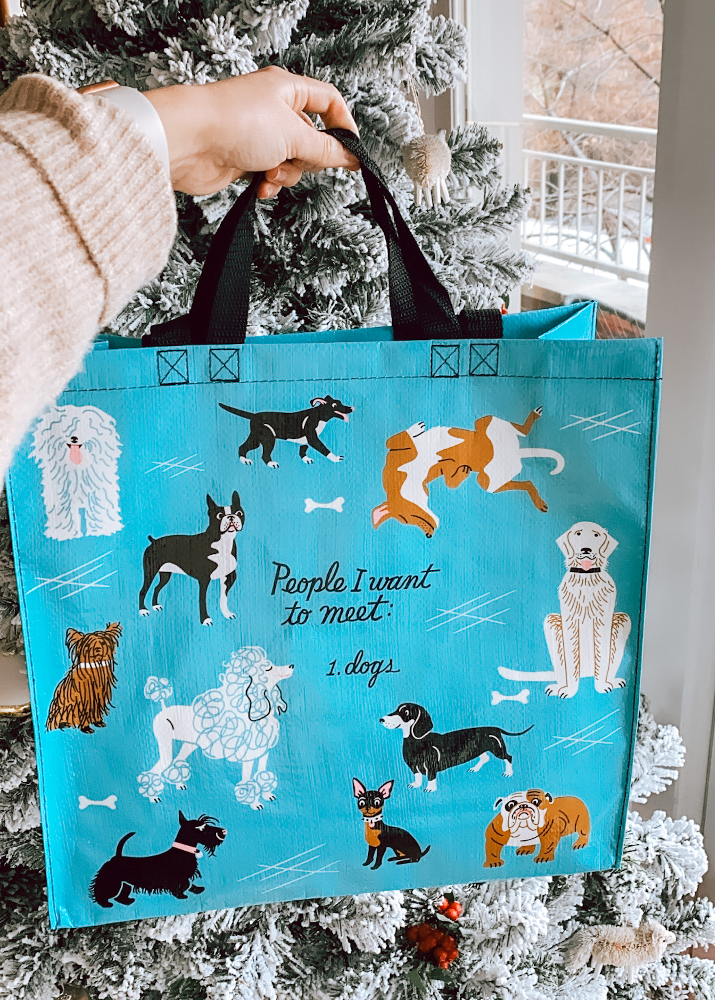19 Favorite Chicago Shops for Last-Minute Holiday Gifts! 19 Favorite Chicago Shops for Last-Minute Holiday Gifts