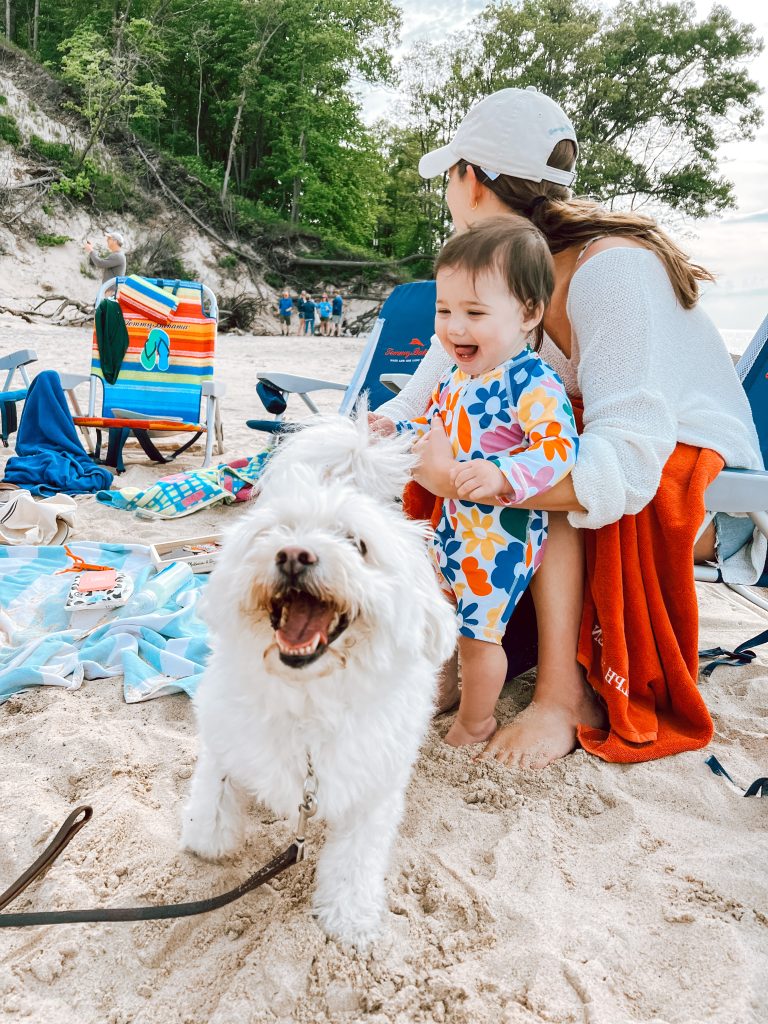 dog and baby at the beach dog and baby at the beach