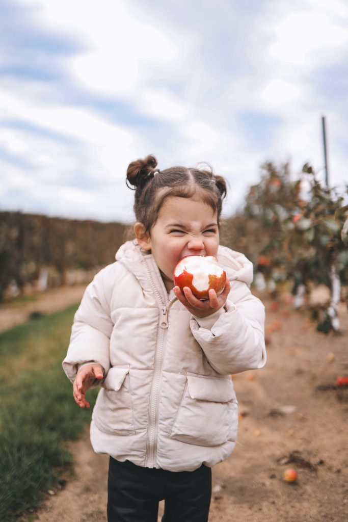 toddler eating apple toddler eating apple