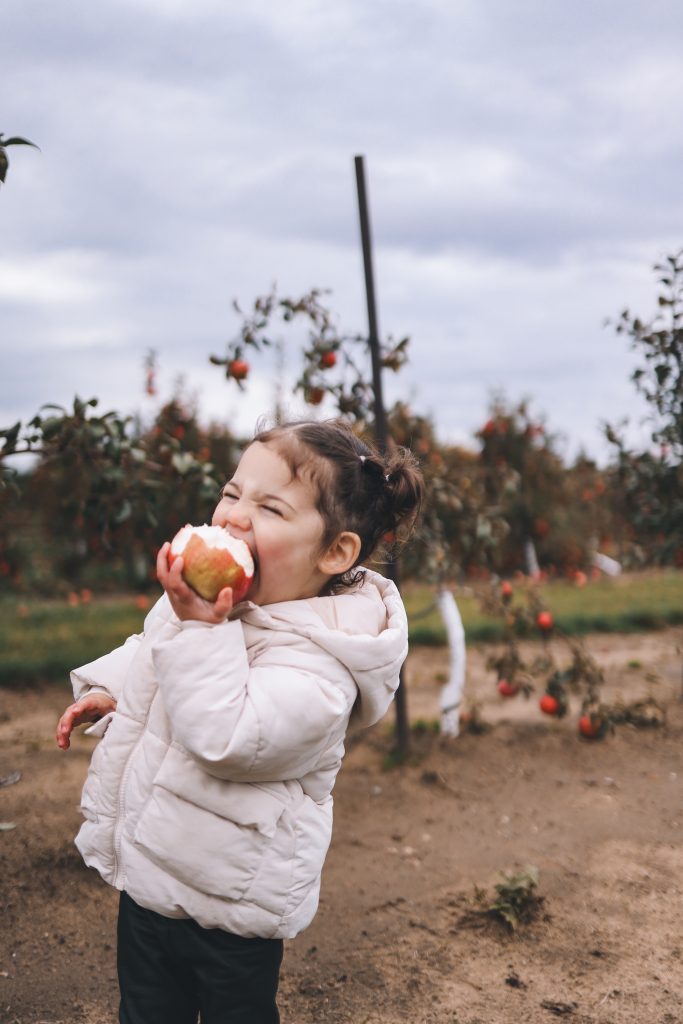 Happy toddler biting an apple Happy toddler biting an apple