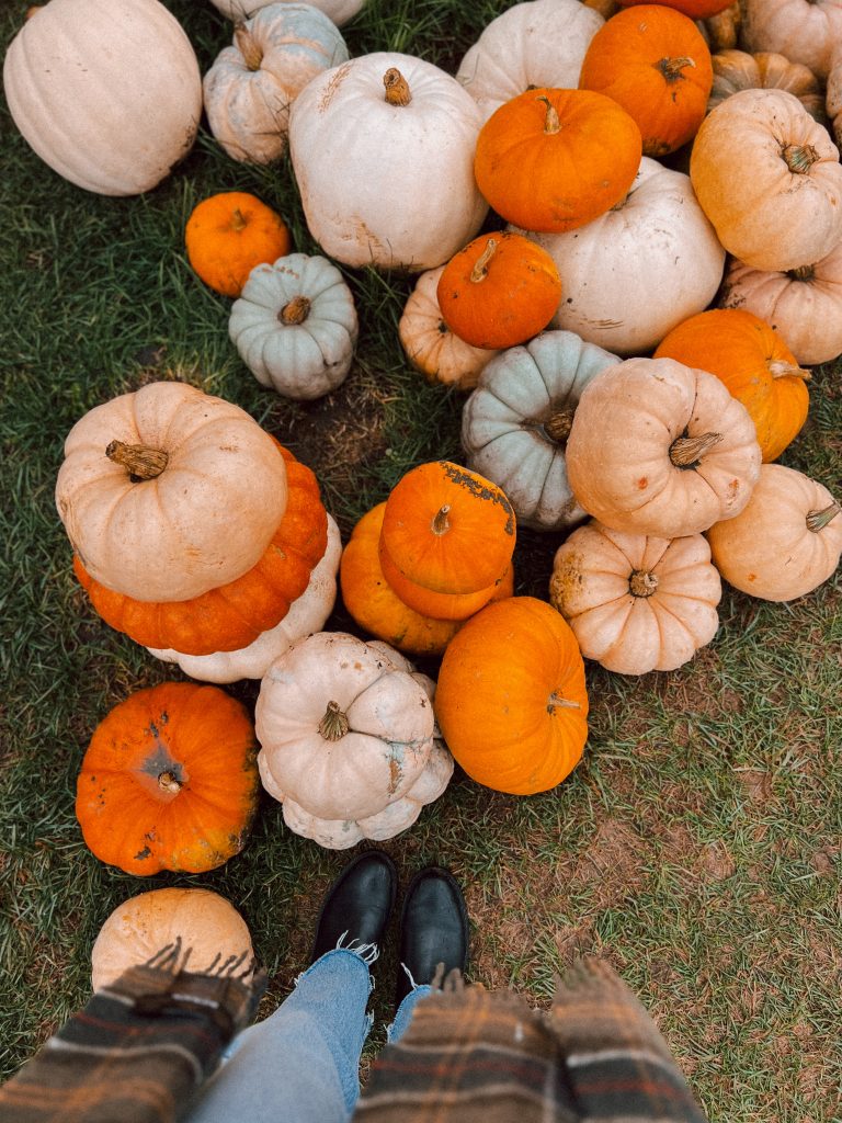 Crane's Pie Pantry pumpkins Crane's Pie Pantry pumpkins