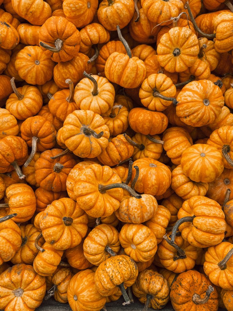 stack of pumpkins Saugatuck Fall family trip