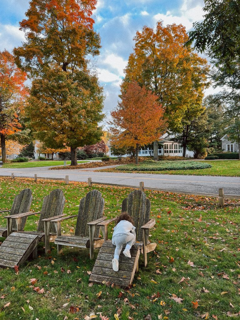 Saugatuck Fall family guide Saugatuck Fall family guide